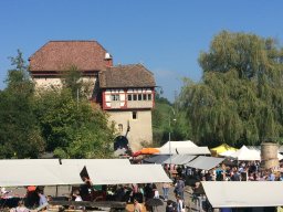 IMG_3798